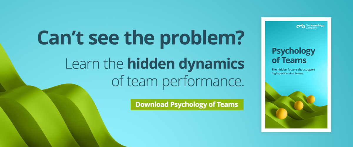 Psychology of Team eBook Donwload